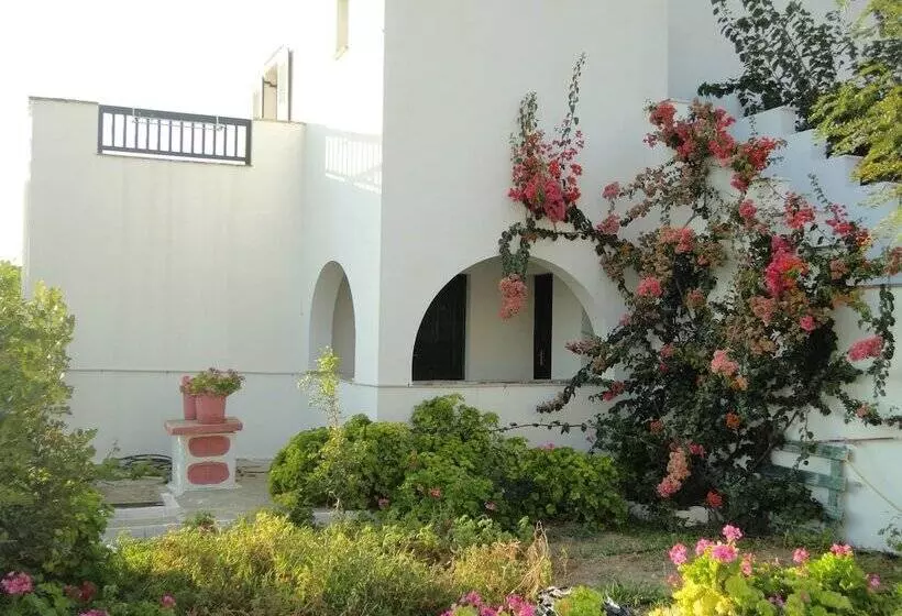 Fotos del hotel Vavoulas Village:  21