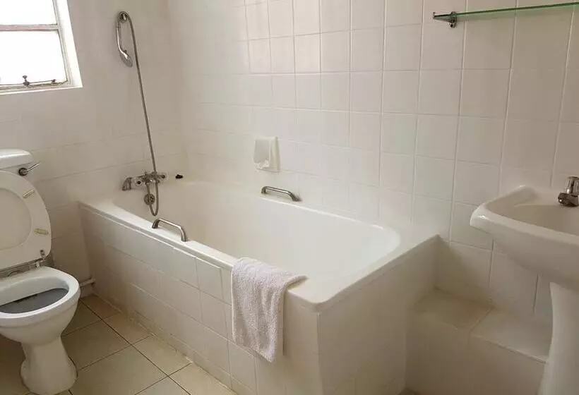 Fotos del hotel The Lusaka:  18