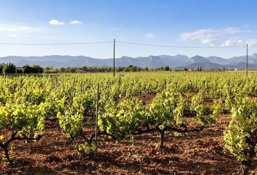 Fotos del hotel Torrent Fals Agroturismo:  7