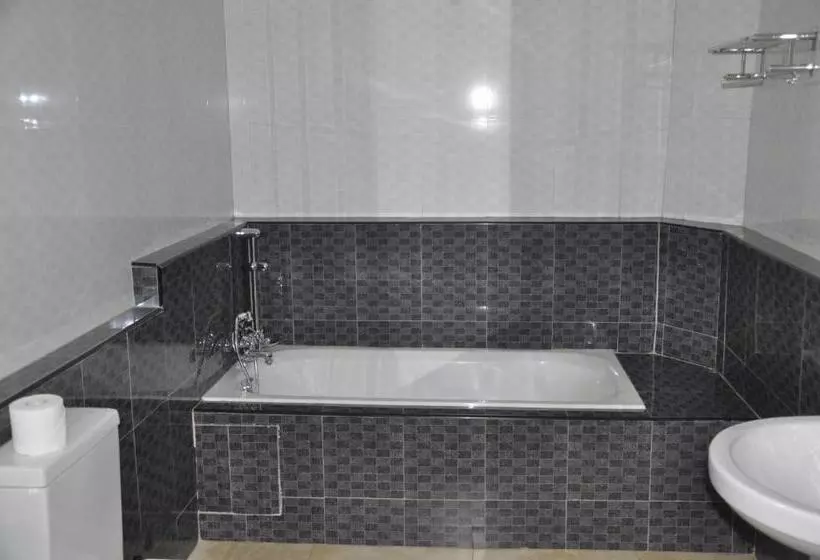 Fotos del hotel Biraj International Hotel:  19