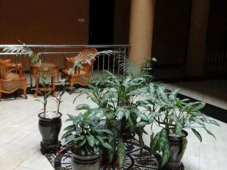 Fotos del hotel Biraj International Hotel:  16