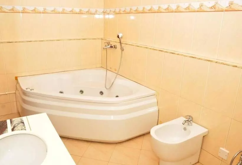 Fotos del hotel Biraj International Hotel:  8