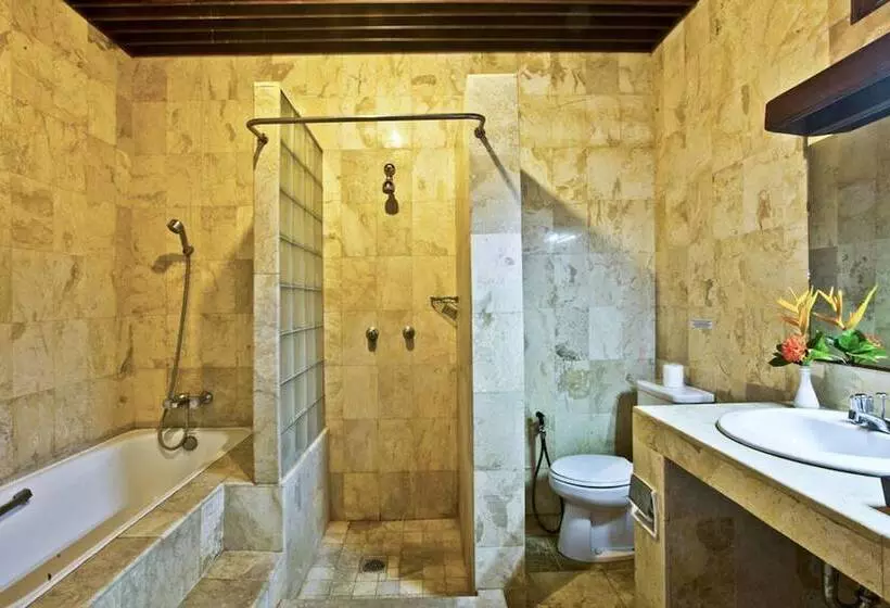 Fotos del hotel Palm Garden:  6