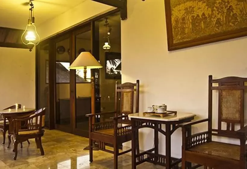 Fotos del hotel Palm Garden:  9