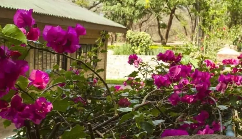 Fotos del hotel Woodlands Lilongwe:  22