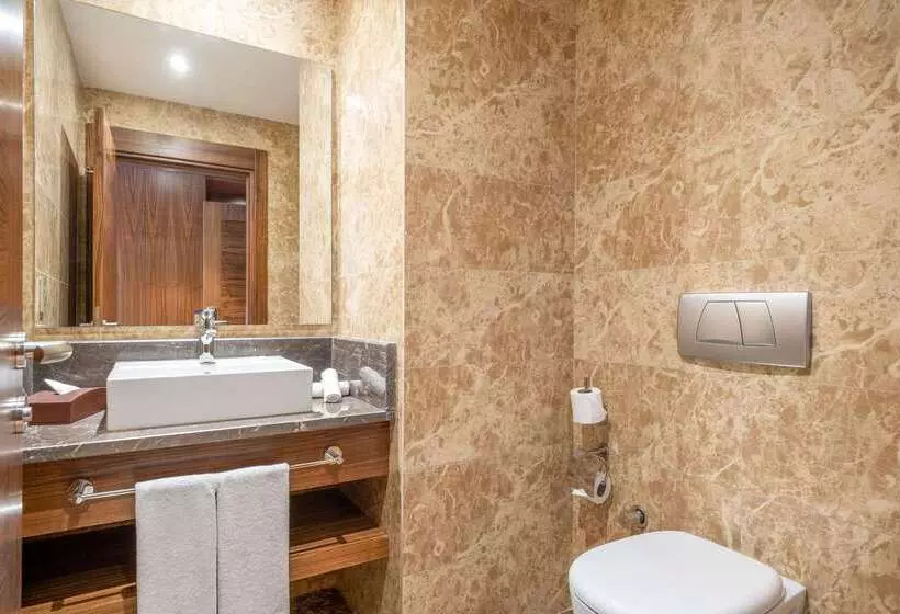 Fotos del hotel Clarion Hotel Istanbul Mahmutbey:  6