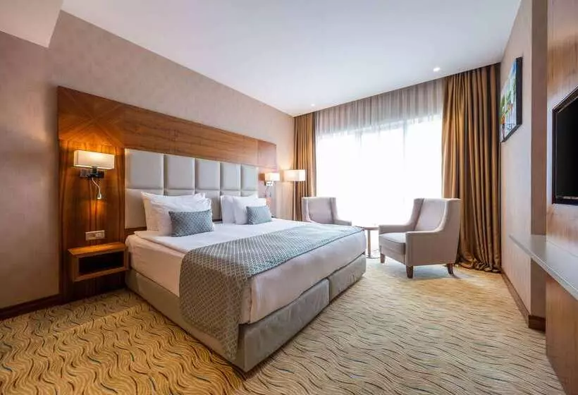 Fotos del hotel Clarion Hotel Istanbul Mahmutbey:  22