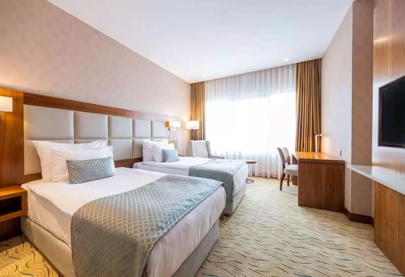 Fotos del hotel Clarion Hotel Istanbul Mahmutbey:  13