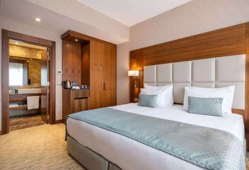 Fotos del hotel Clarion Hotel Istanbul Mahmutbey:  25