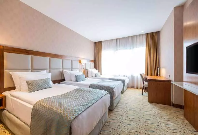 Fotos del hotel Clarion Hotel Istanbul Mahmutbey:  15