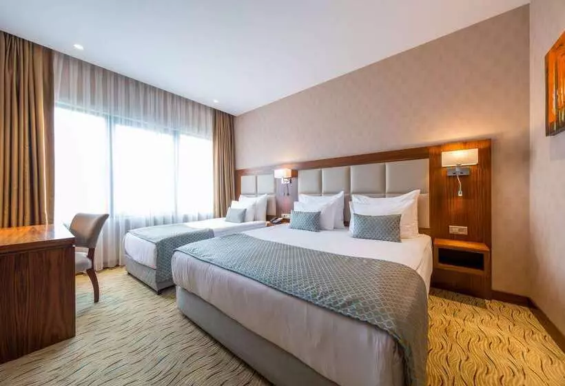 Fotos del hotel Clarion Hotel Istanbul Mahmutbey:  23