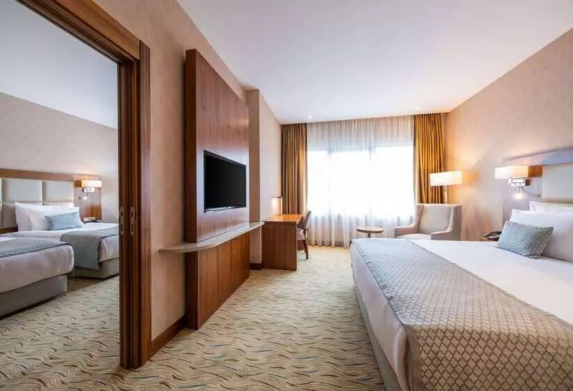 Fotos del hotel Clarion Hotel Istanbul Mahmutbey:  21