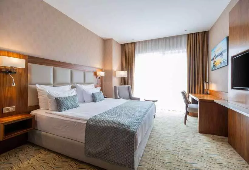 Fotos del hotel Clarion Hotel Istanbul Mahmutbey:  14