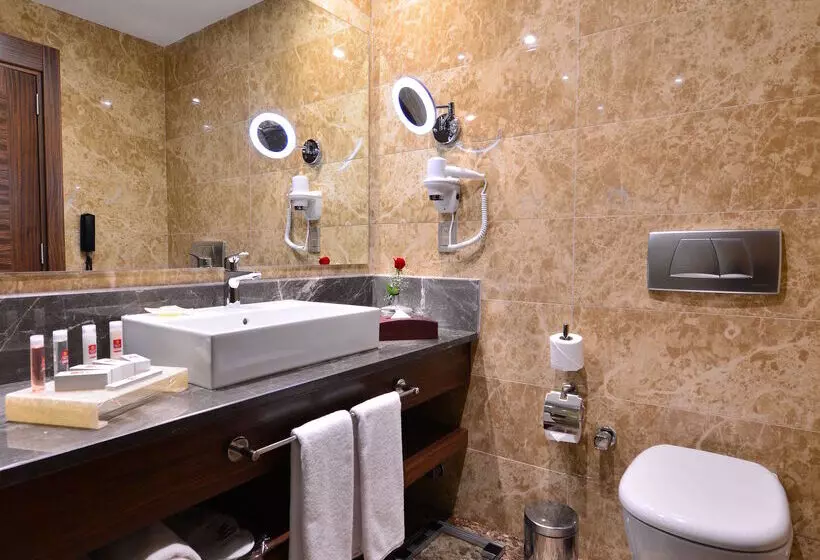 Fotos del hotel Clarion Hotel Istanbul Mahmutbey:  11