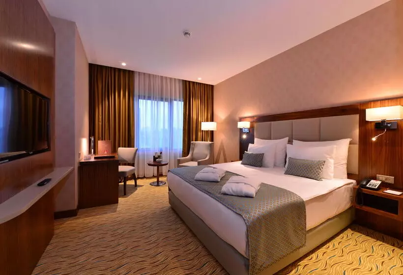 Fotos del hotel Clarion Hotel Istanbul Mahmutbey:  2