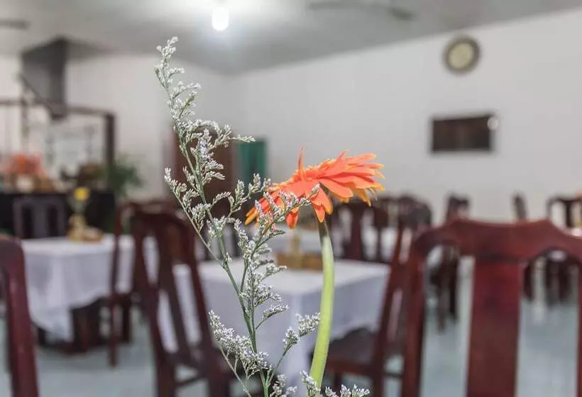 Fotos del hotel Galaxy  Phu Quoc:  22