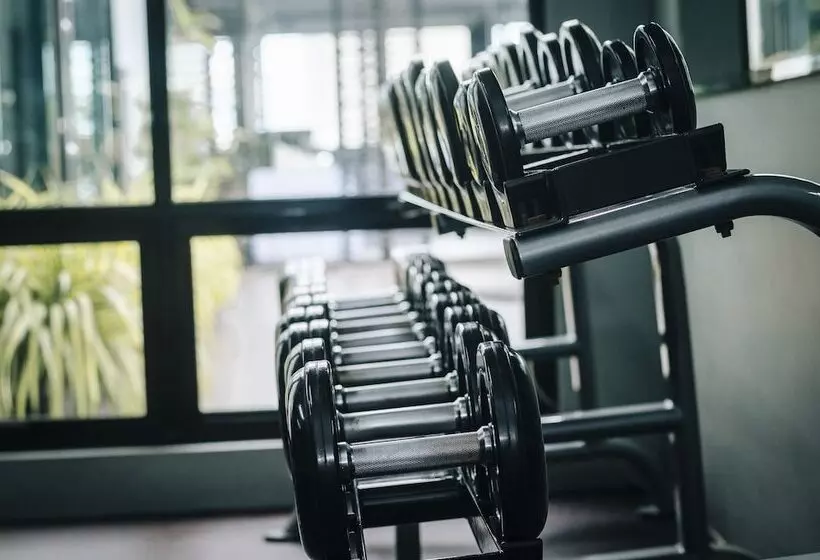 Fotos del hotel Amelie  Manila:  4