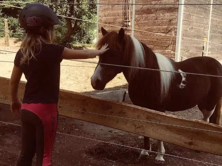 Fotos del hotel Nürnberger Hof In Altdorf:  11