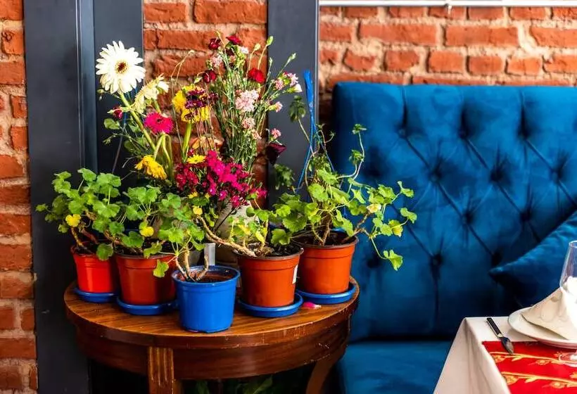 Fotos del hotel Viva Deluxe:  6