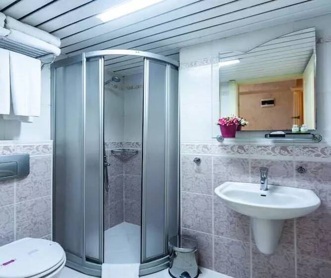 Fotos del hotel Viva Deluxe:  14