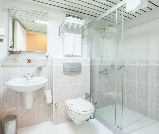 Fotos del hotel Viva Deluxe:  10