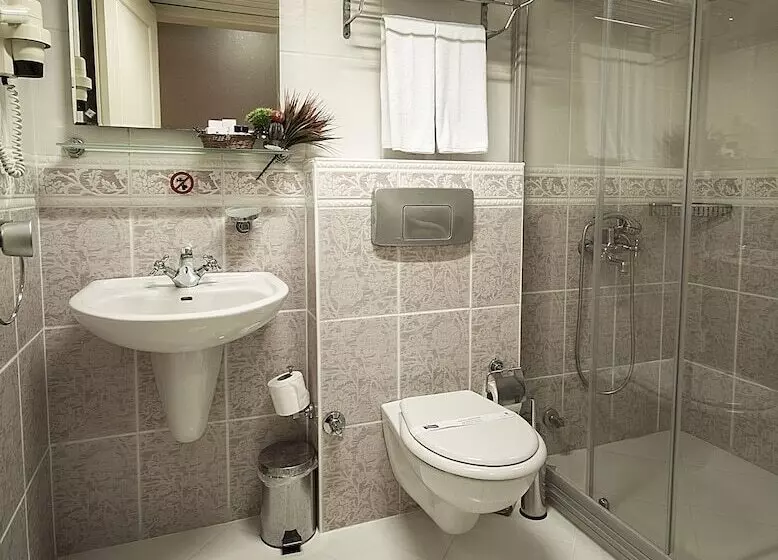 Fotos del hotel Viva Deluxe:  5