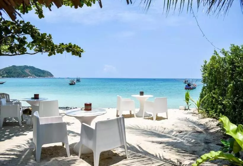 Fotos del hotel Viva On The Beach:  17