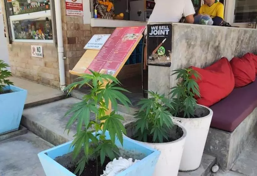 Fotos del hotel Viva On The Beach:  12