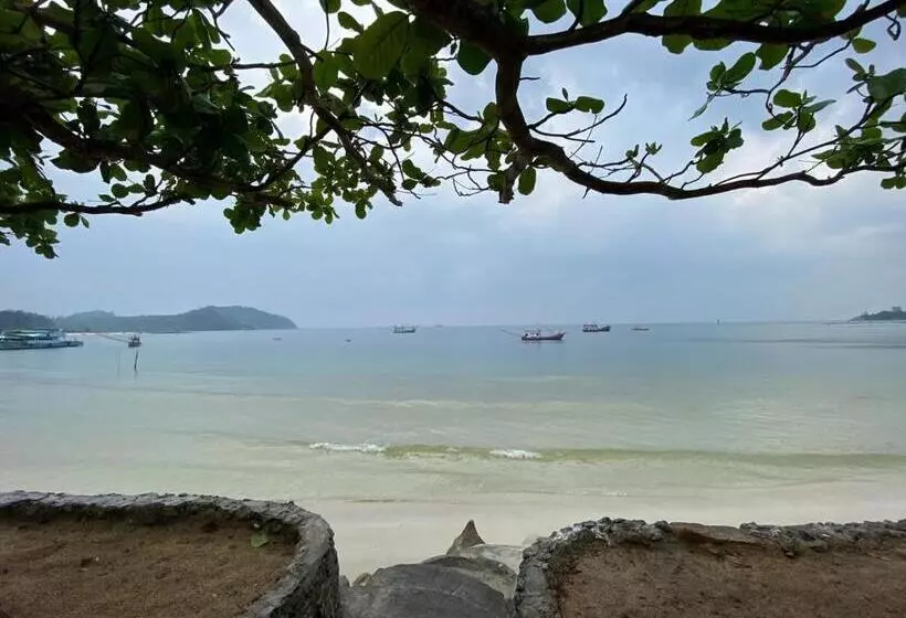 Fotos del hotel Viva On The Beach:  5