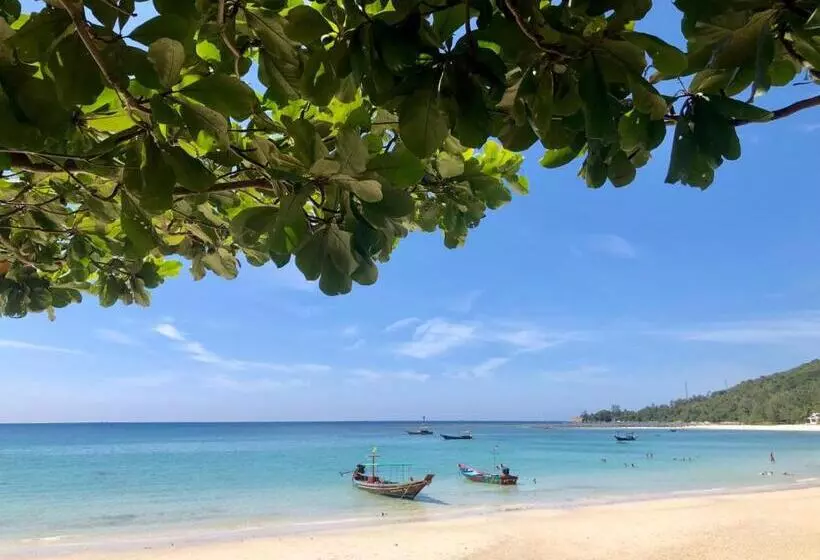 Fotos del hotel Viva On The Beach:  13