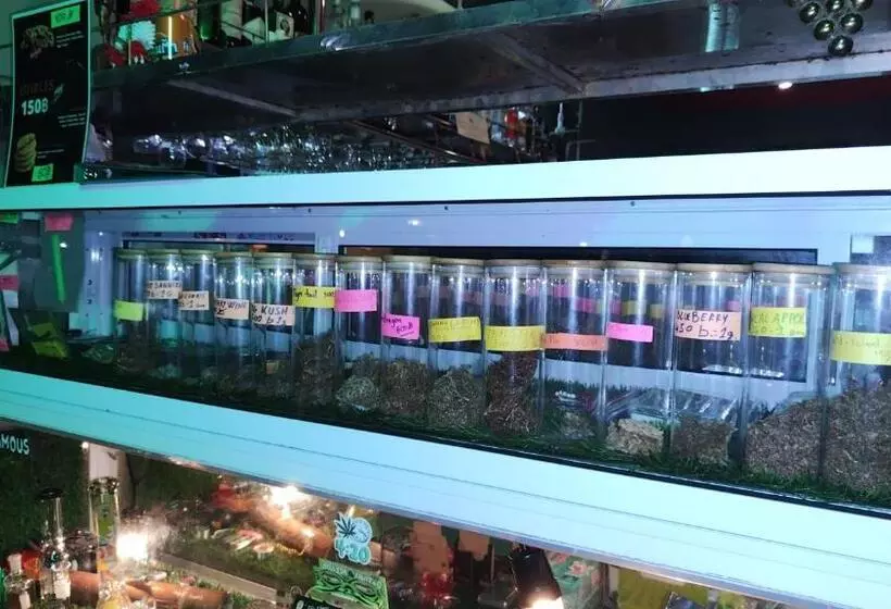 Fotos del hotel Viva On The Beach:  25