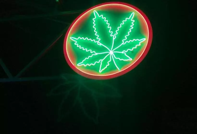 Fotos del hotel Viva On The Beach:  8