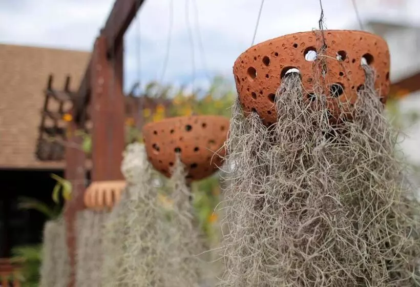 Fotos del hotel Baan U Sabai Boutique House:  9