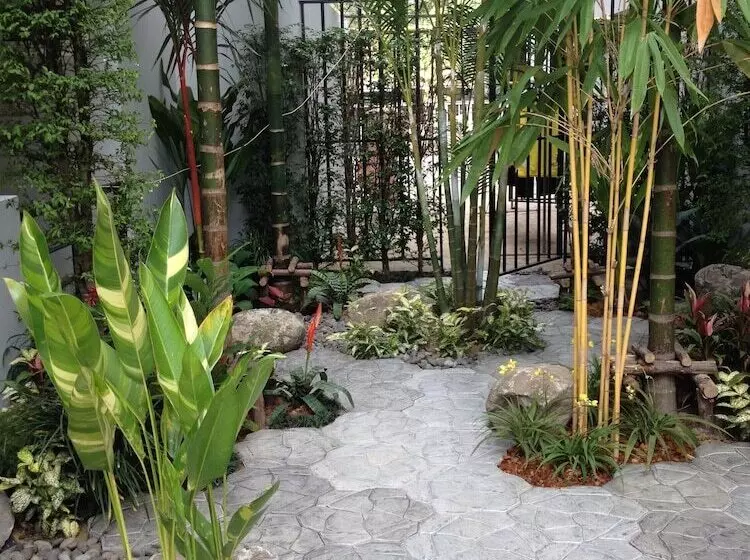 Fotos del hotel Delight Residence:  5