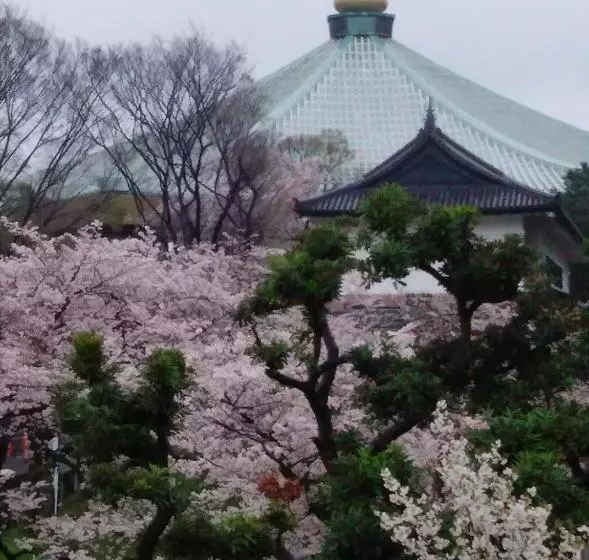Fotos del hotel Sotetsu Fresa Inn Ochanomizujimbocho:  18