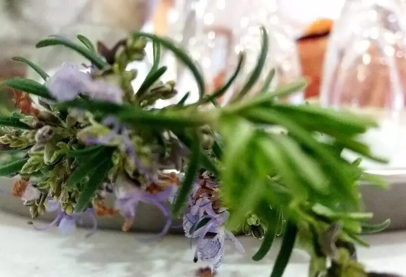 Fotos del hotel Consolata:  6