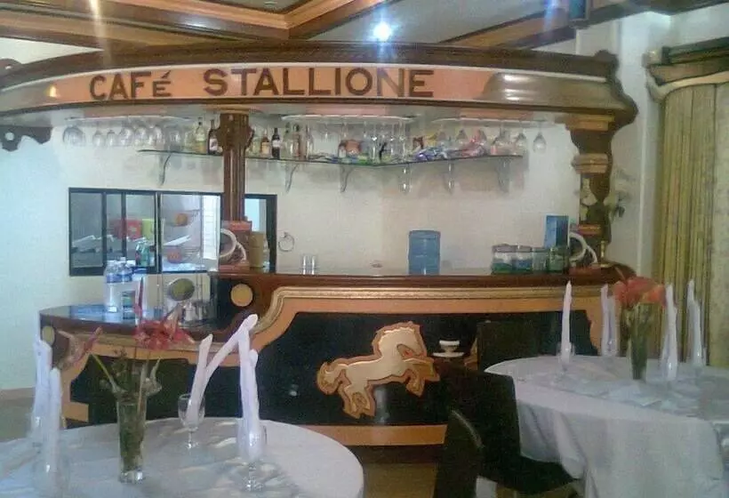 Fotos del hotel Golden Stallion Suites:  10