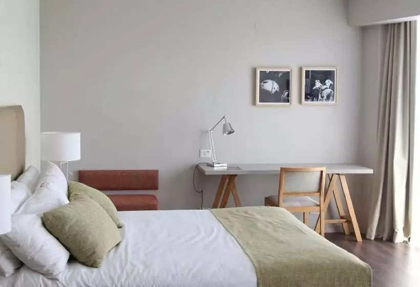 Fotos del hotel Dazzler By Wyndham Polo:  16