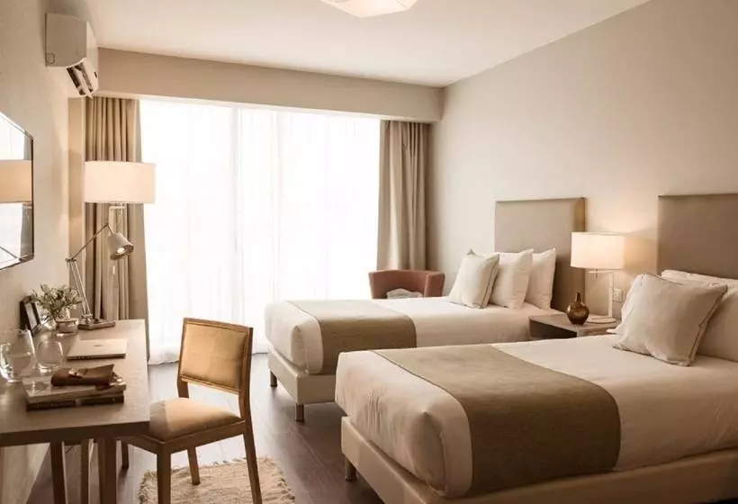 Fotos del hotel Dazzler By Wyndham Polo:  22