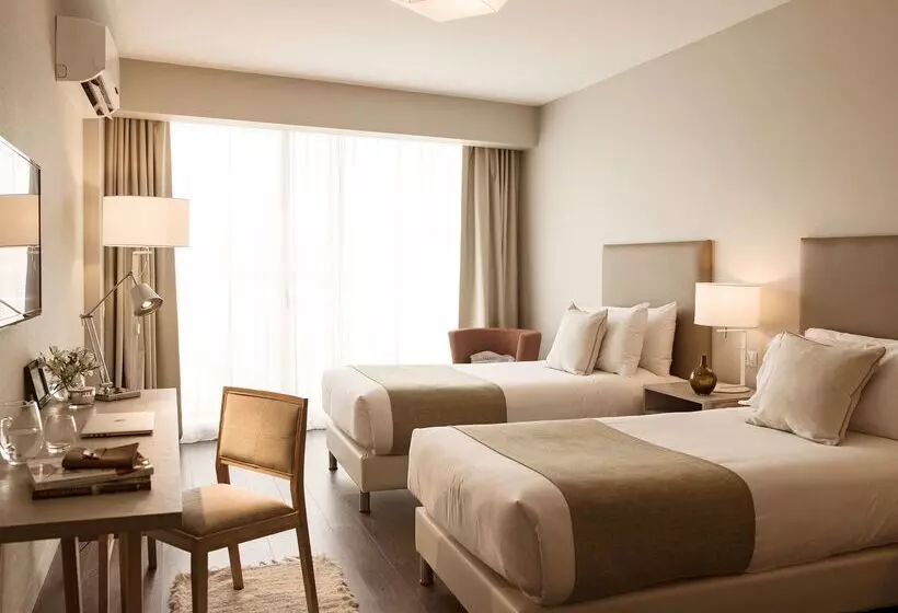 Dazzler By Wyndham Polo