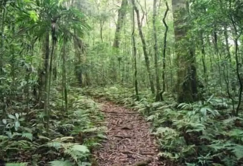 Fotos del hotel Goomburra Forest Retreat:  5