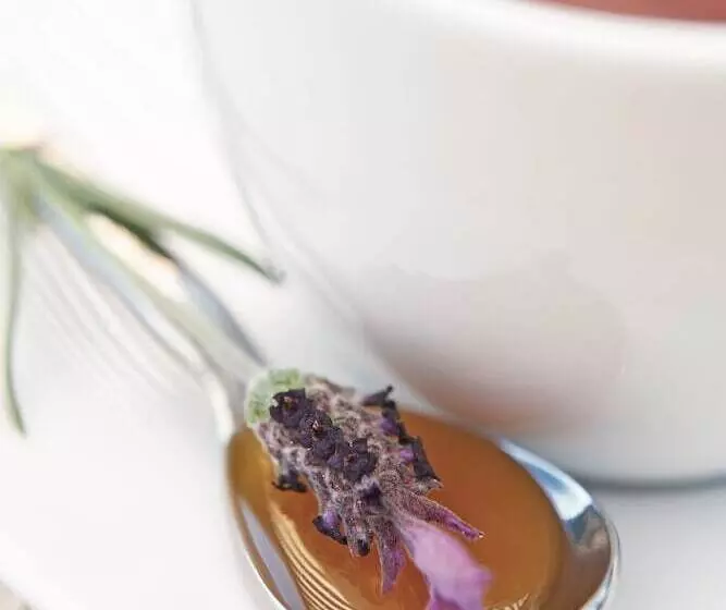 Fotos del hotel River Birches:  10