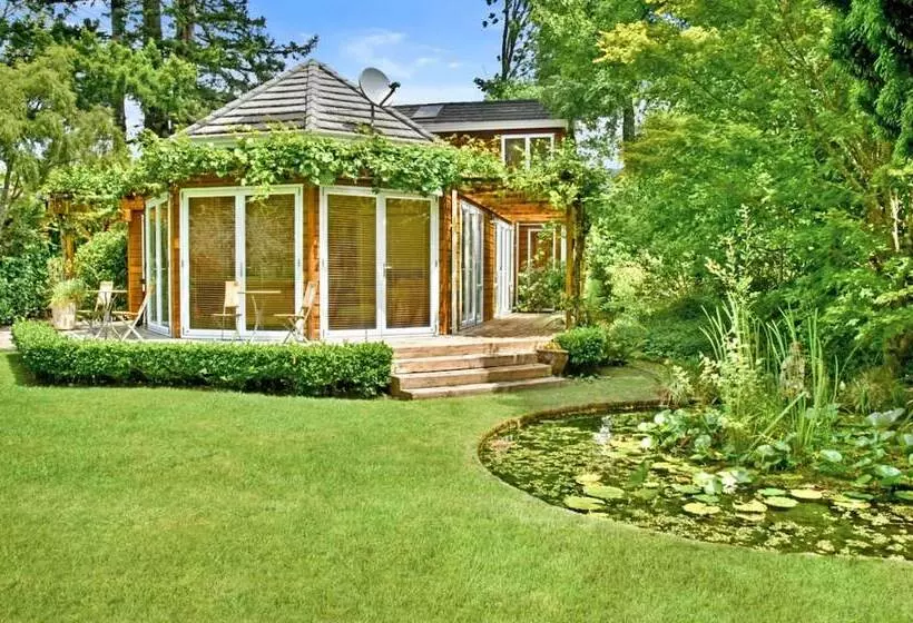 Fotos del hotel River Birches:  4