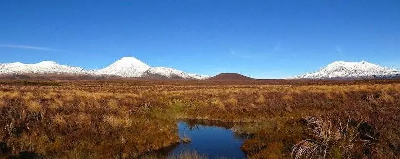 Fotos del hotel River Birches:  13