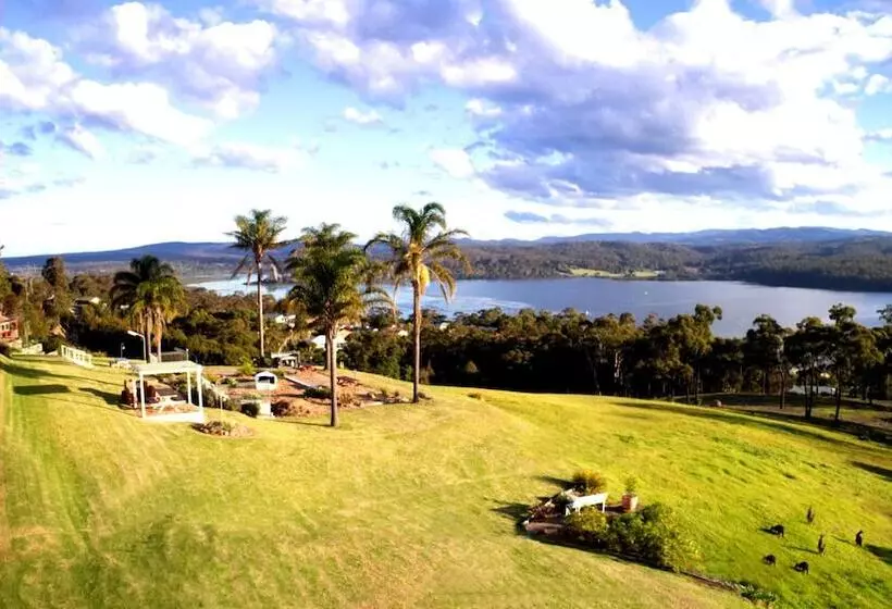 Fotos del hotel Norfolk Pine Motel:  8