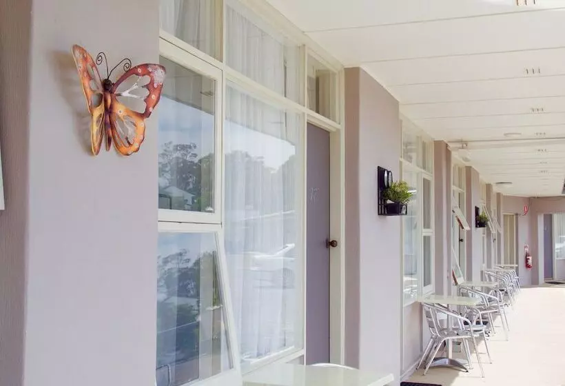 Fotos del hotel Norfolk Pine Motel:  5