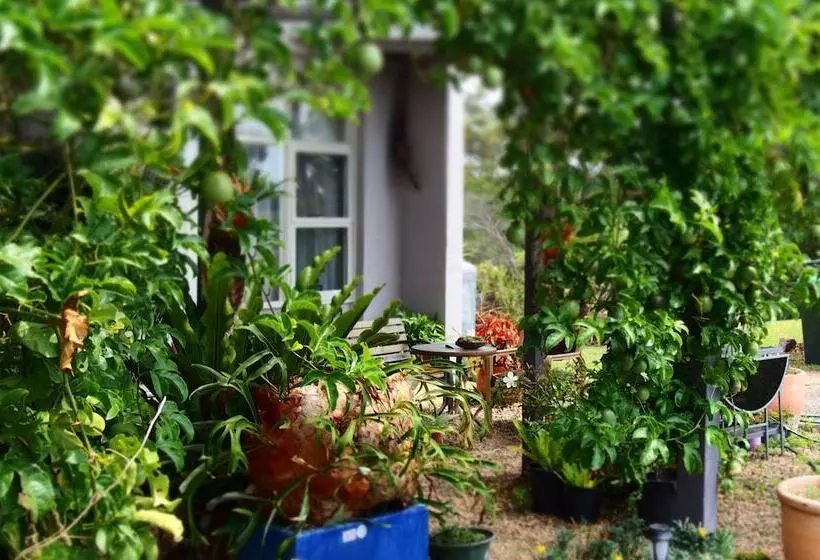 Fotos del hotel Norfolk Pine Motel:  6