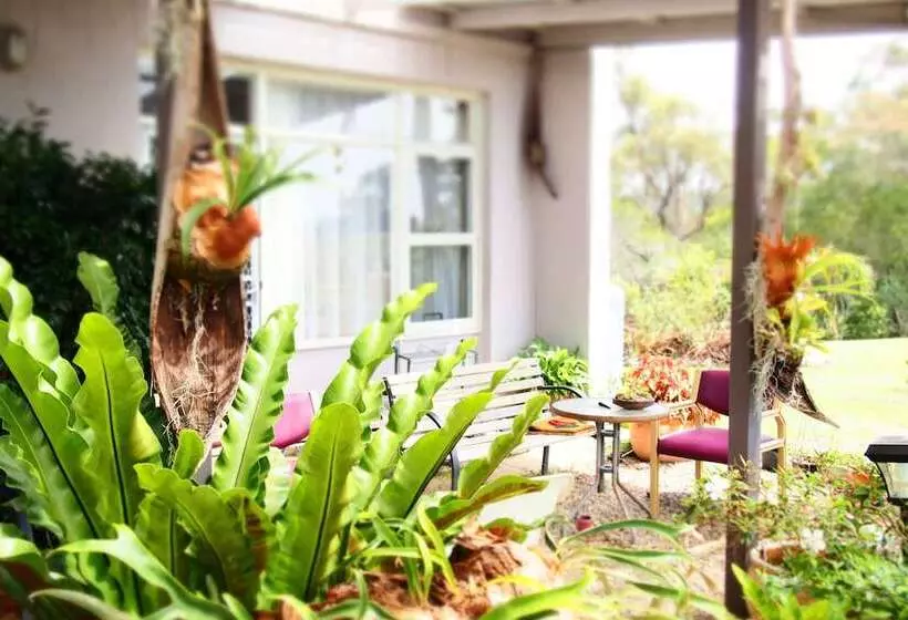 Fotos del hotel Norfolk Pine Motel:  2