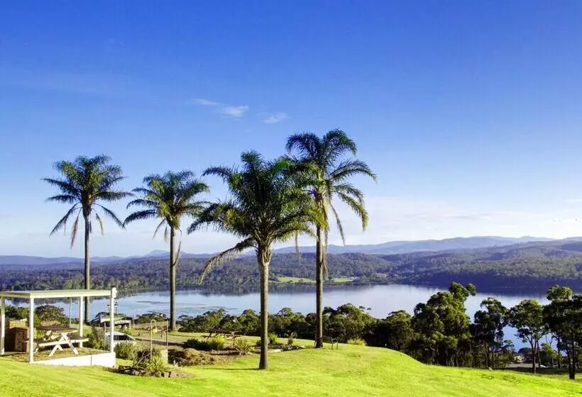 Fotos del hotel Norfolk Pine Motel:  13