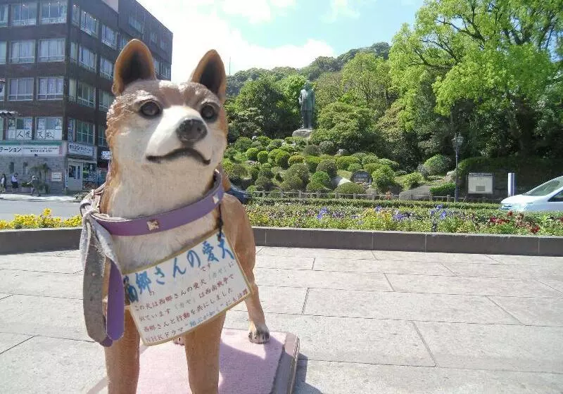 Fotos del hotel Apa  Kagoshima Tenmonkan:  10